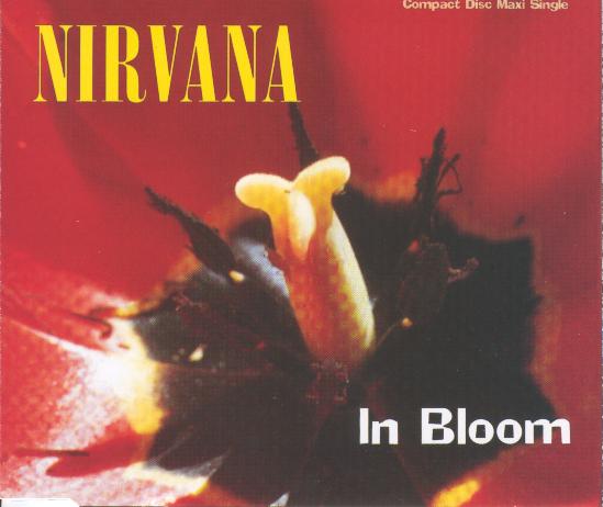 In_Bloom_Maxi_Single